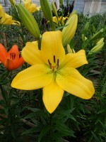 [5589 VH19 No02.JPG]